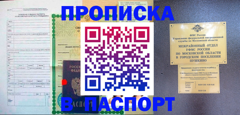 временная регистрация госуслуги в Никольске